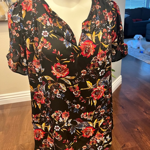 Fall top - Picture 3 of 3